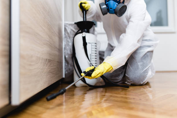 Best Mosquito Control Services  in Mountain Brook, AL