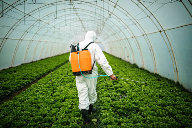 Best Pest Prevention Services  in Mountain Brook, AL