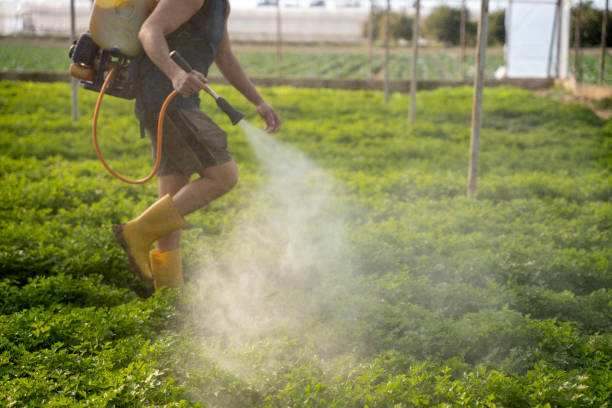 Best Local Pest Control Services  in Mountain Brook, AL