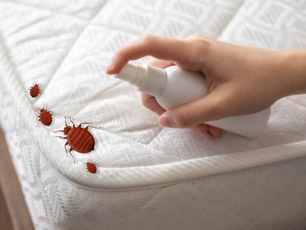 Best Affordable Pest Control Services  in Mountain Brook, AL
