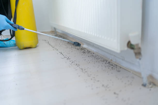 Best Emergency Pest Control  in Mountain Brook, AL