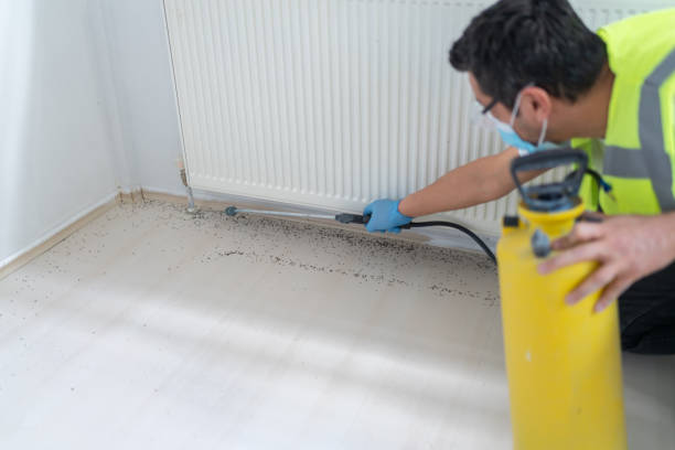 Best Pest Control Near Me in Mountain Brook, AL